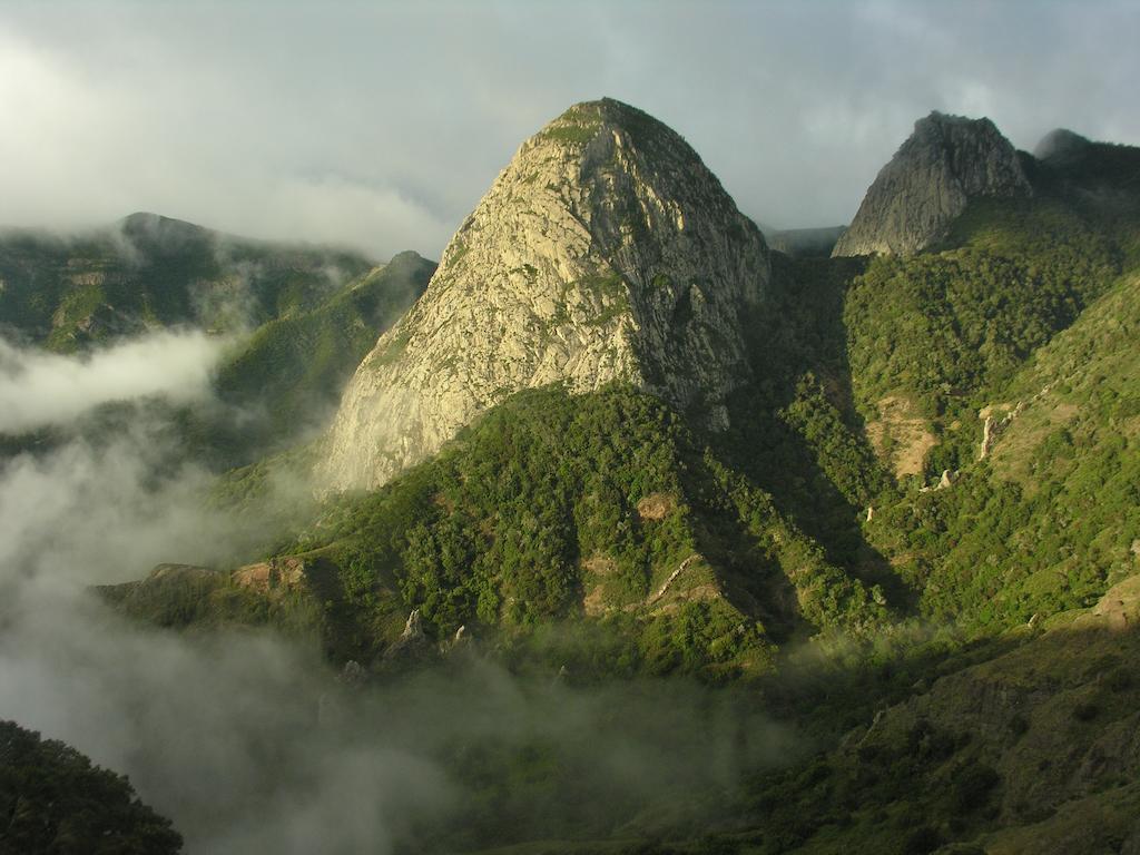 Pension Candelaria Valle Gran Rey Εξωτερικό φωτογραφία